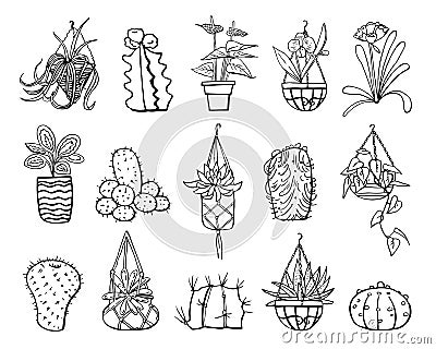 Houseplants, cactuses and succulents in hanging flowerpots and pots. Vector hand drawn outline black and white sketch illustration Vector Illustration